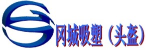 Foshan Gangcheng Sport Helmet Company