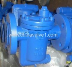 Inverted Bucket Steam Trap