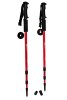 Anti Shock Trekking/Walking/Hiking Poles with Compass (Set of 2)