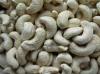 Raw Cashew Nuts w24 available
