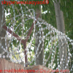 2015 hot sale Galvanized razor barbed wire mesh