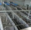 Auto Floating Washing Machine Fruit Processing Plant for Fruit Juice Processing