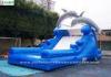 Double Dolphin Inflatable Backyard Water Slide Bounce House EN14960 Standard