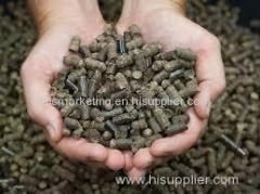 Low Sulphur And Healthy Bulk Cheap Biomass Wood Pellet For Sale