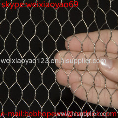 Galvanized Hexagonal wire netting/Hexagonal wire mesh/Chicken wire mesh