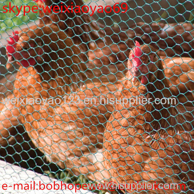 PVC coated galvanized 1/2'' hexagonal wire mesh poultry farm woven chicken wire mesh roll