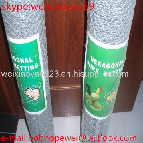 Lowest price China direct factory pvc coated hexagonal wire mesh green plastic chicken wire mesh