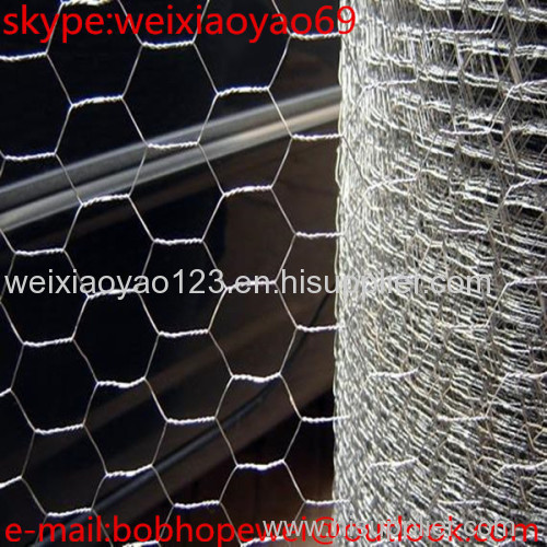 2015 China PVC Coated Iron Hexagonal wire Mesh