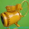 Trunnion mounted ball valve