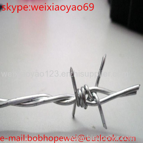 Professional manufacture Barbed wire
