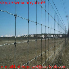 Grassland Fencing Wire Mesh For Cattle/Horse/Sheep/Deer