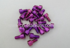 Titanium GR5 6ALV4 Grade DIN912 hex socket head cap screws colorful