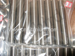 Titanium DIN934 Hexagon hot forging nuts GR2 B348 nuts heavy nuts