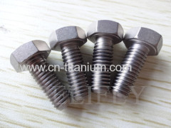 Titanium hot forging DIN 933 Hexagon head bolts-full thread M10 B348 GR2