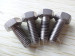 Titanium hot forging DIN 933 Hexagon head bolts-full thread M10 B348 GR2