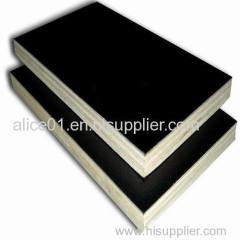 Eucalyptus core Shuttering Plywood with melamine glue