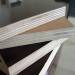 Poplar Core Film faced plywood with melamine glue
