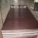 Shuttering Plywood 18mm with 11-ply