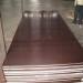 Eucalyptus core Shuttering Plywood with urea-formaldehyde glue