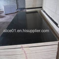 Eucalyptus core Shuttering Plywood with WBP glue