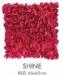 Red Champagne Handmade Decorative Pillows Faux Silk 18 x 18 Pillows