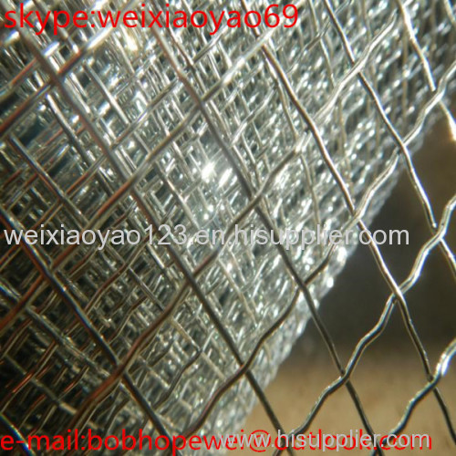 galvanized crimped wire mesh/hot dip galvanized crimped wire mesh