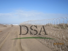 Blade Sharp Protective Barbed Razor Wire Mesh In Guangzhou