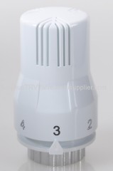 Thermostatic head with liquid sensor