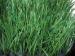 Anti Friction Commercial Artificial Turf Waterproof Synthetic Sports Turf
