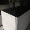 ISO9001:2000 Standard black film Shuttering Plywood Poplar core