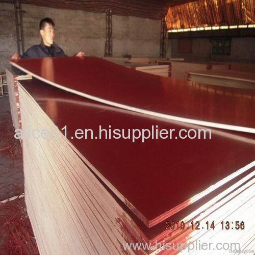 Poplar core Film Faced Plywood with Melamine glue ISO9001:2000 Standard