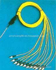 Fiber optic path cord patail