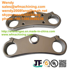 Forging Hydraulic Cylinder Parts Hot/Cold Forging Parts