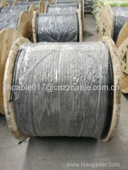 Aluminum alloy (AL ) conductor XLPE insulation concentric cable