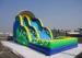 Residential Green Inflatable Dual Lane Slide For Kids / Adults , ASTM F963 Brazil
