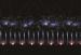 Professional 500 shots Peony Commercial Fireworks show for holiday / event