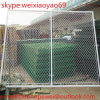 galvanized chain link fence( diamond wire mesh)