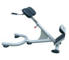 Back extension for Commercial fitness equipment