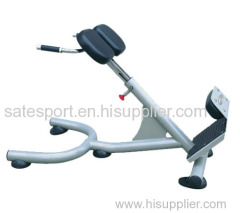 Back extension for Strength machine