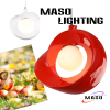 Indoor Pendant Apple Type Resin Lamp Energy Save Power LED Replacable Glass Cover