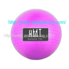 Animate Fitness ball-gym balls