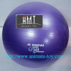 Animate Fitness ball-gym balls