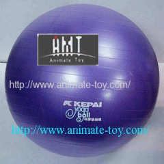 Animate Fitness ball-gym balls