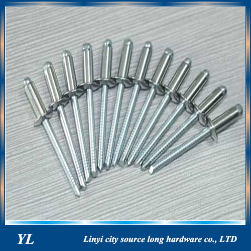 Steel Dome Head Closed End Type Blind Rivets