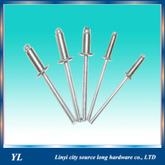 Stainless Steel S BOLT Structure Blind Rivets