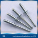 Stainless steel large flange head blind rivets