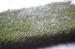 Outdoor Playground Synthetic Artificial Grass Plastic PP PE Stadium Turf