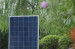 Poly-Crystalline solar panel 50W