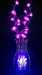 Led craft glass vase lights