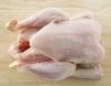 Halal Whole Frozen Chicken